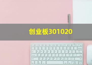 创业板301020