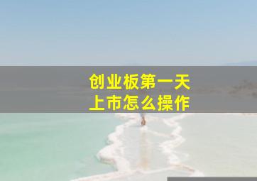 创业板第一天上市怎么操作