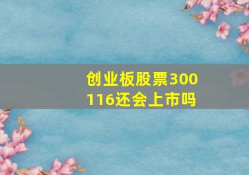 创业板股票300116还会上市吗