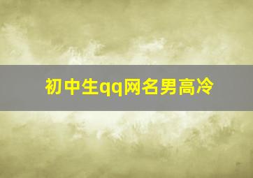 初中生qq网名男高冷