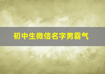 初中生微信名字男霸气