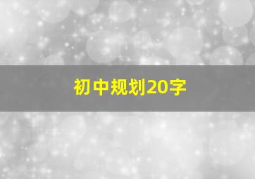 初中规划20字