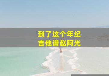 到了这个年纪吉他谱赵阿光