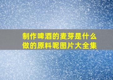 制作啤酒的麦芽是什么做的原料呢图片大全集