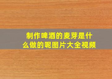 制作啤酒的麦芽是什么做的呢图片大全视频