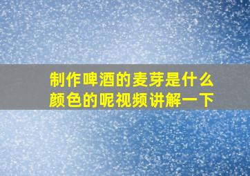 制作啤酒的麦芽是什么颜色的呢视频讲解一下