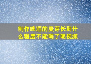 制作啤酒的麦芽长到什么程度不能喝了呢视频