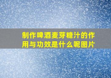 制作啤酒麦芽糖汁的作用与功效是什么呢图片