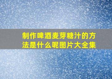 制作啤酒麦芽糖汁的方法是什么呢图片大全集