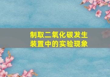 制取二氧化碳发生装置中的实验现象