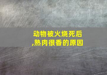 动物被火烧死后,熟肉很香的原因