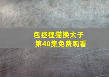 包拯狸猫换太子第40集免费观看