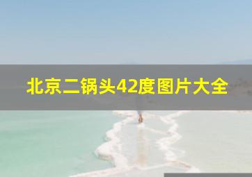 北京二锅头42度图片大全