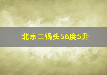 北京二锅头56度5升