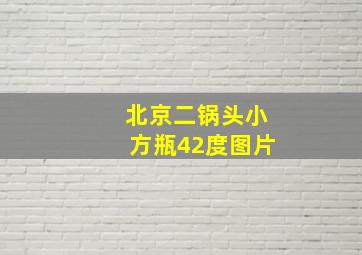 北京二锅头小方瓶42度图片