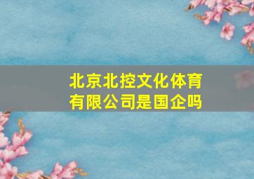 北京北控文化体育有限公司是国企吗