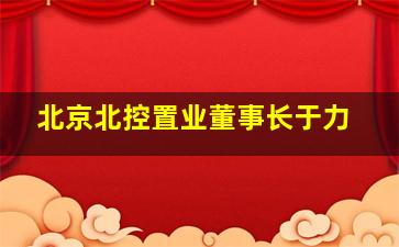 北京北控置业董事长于力