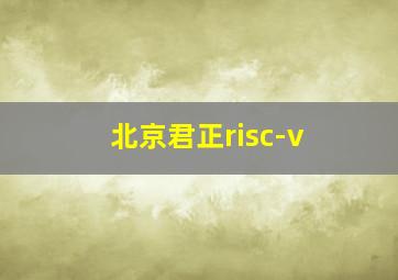 北京君正risc-v