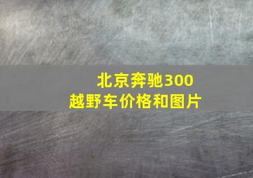 北京奔驰300越野车价格和图片