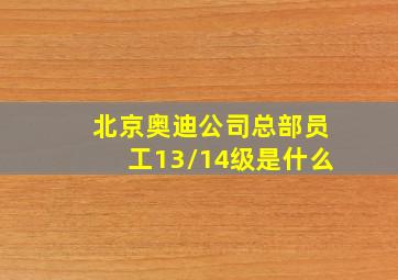 北京奥迪公司总部员工13/14级是什么