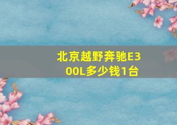 北京越野奔驰E300L多少钱1台