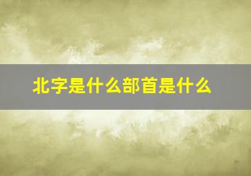 北字是什么部首是什么