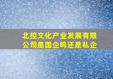 北控文化产业发展有限公司是国企吗还是私企