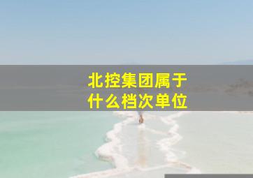 北控集团属于什么档次单位