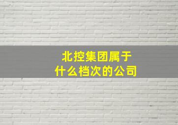 北控集团属于什么档次的公司