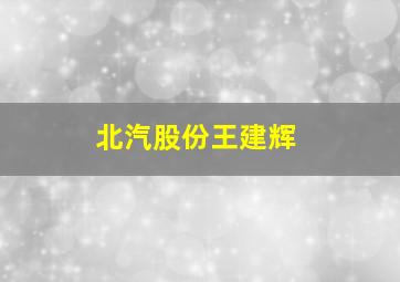 北汽股份王建辉