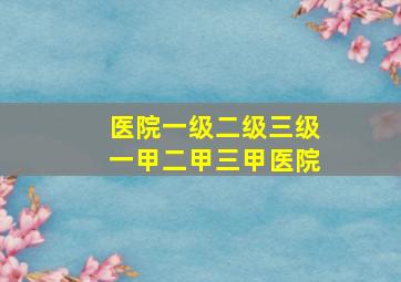 医院一级二级三级一甲二甲三甲医院