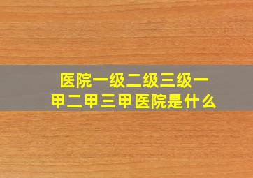 医院一级二级三级一甲二甲三甲医院是什么