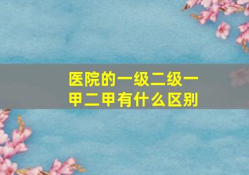 医院的一级二级一甲二甲有什么区别