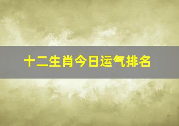 十二生肖今日运气排名