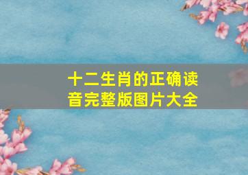 十二生肖的正确读音完整版图片大全