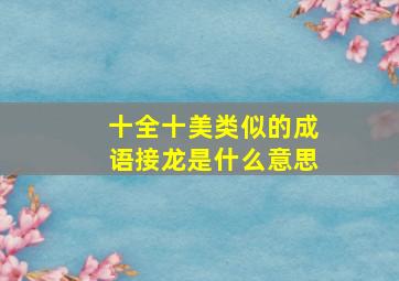 十全十美类似的成语接龙是什么意思