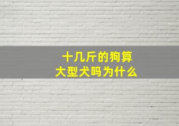 十几斤的狗算大型犬吗为什么