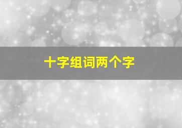 十字组词两个字