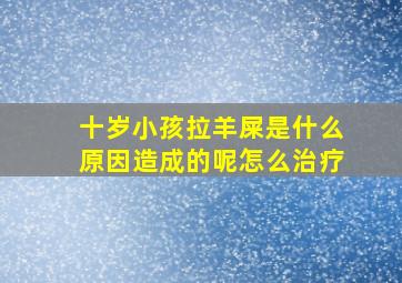 十岁小孩拉羊屎是什么原因造成的呢怎么治疗