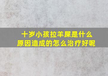 十岁小孩拉羊屎是什么原因造成的怎么治疗好呢