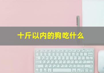 十斤以内的狗吃什么