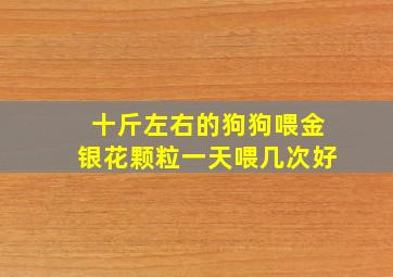 十斤左右的狗狗喂金银花颗粒一天喂几次好