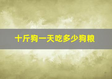 十斤狗一天吃多少狗粮