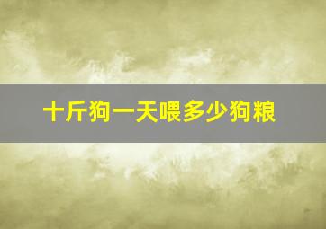 十斤狗一天喂多少狗粮