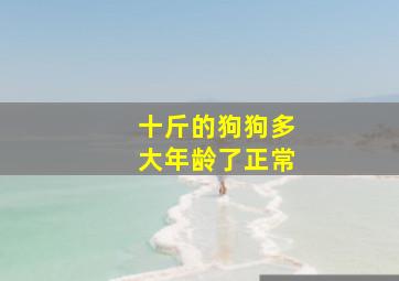 十斤的狗狗多大年龄了正常