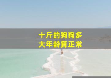 十斤的狗狗多大年龄算正常