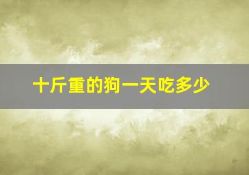 十斤重的狗一天吃多少