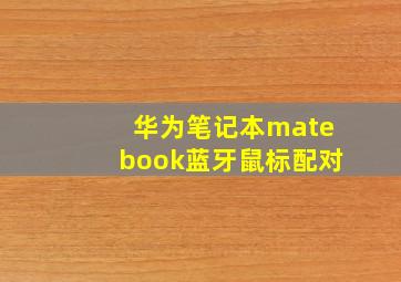 华为笔记本matebook蓝牙鼠标配对