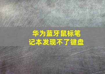 华为蓝牙鼠标笔记本发现不了键盘