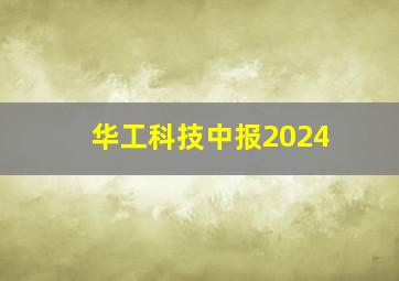 华工科技中报2024